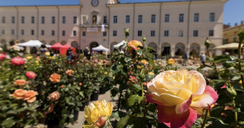 Verde Mercato Autunno